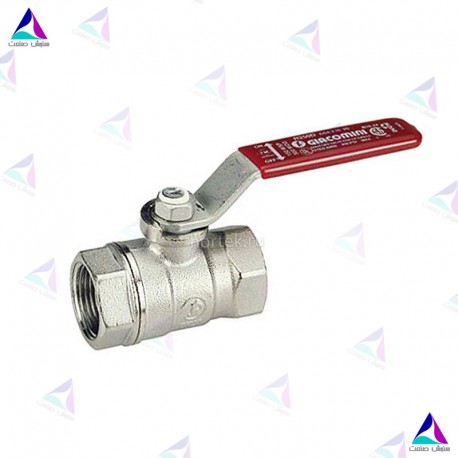 شیر توپی ''2 جیاکومینی